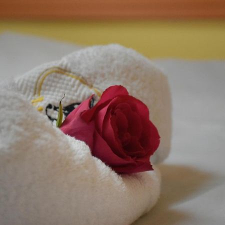 Hotel Lupus Novi Sad Luaran gambar