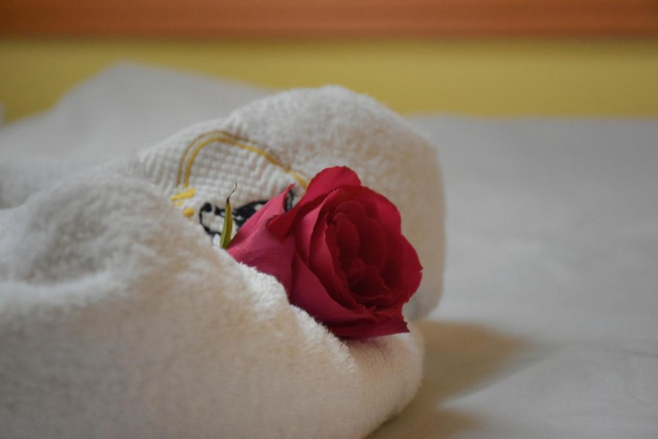Hotel Lupus Novi Sad Luaran gambar