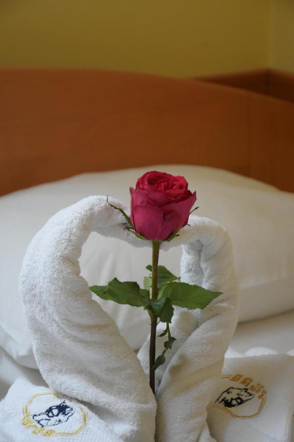 Hotel Lupus Novi Sad Luaran gambar